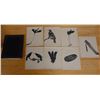 Image 1 : Qty 7 Bird Prints by Artist AL Neal 11" x 14"