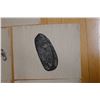 Image 29 : Qty 7 Bird Prints by Artist AL Neal 11" x 14"
