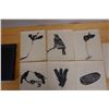 Image 2 : Qty 7 Bird Prints by Artist AL Neal 11" x 14"