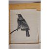 Image 8 : Qty 7 Bird Prints by Artist AL Neal 11" x 14"