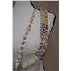 Image 5 : Qty 3 Shell Lei, Misc Shells & Sizes