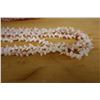 Image 4 : Qty 3 Shell Lei, Misc Shells & Sizes