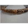 Image 2 : Braided Shell Lei 17"L