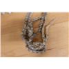 Image 3 : Qty Approx. 10 Lei - Shell, Kukui Nut, Misc Styles & Sizes