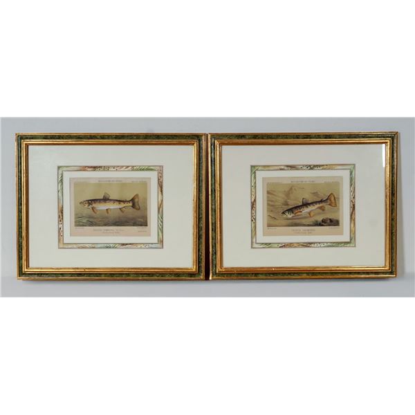 2pc French 19th Century Hand-Colored Trout Lithographs on Paper by Mesnel