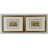 Image 1 : 2pc French 19th Century Hand-Colored Trout Lithographs on Paper by Mesnel