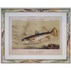 Image 2 : 2pc French 19th Century Hand-Colored Trout Lithographs on Paper by Mesnel