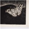 Image 3 : Debi Slowey, Night Watch (Owl), Etching on Paper, Signed and Numbered
