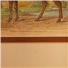 Image 3 : 19th Century Color Engraving, Lord Morton Mare, Natural History of Horses