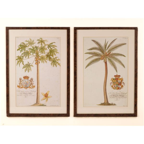 2pc Botanical Prints after Griffith Hughes The Natural History of Barbados