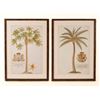 Image 1 : 2pc Botanical Prints after Griffith Hughes The Natural History of Barbados