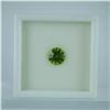 Image 2 : 1.75 CT Green Peridot Round Quantum Cut Gemstone