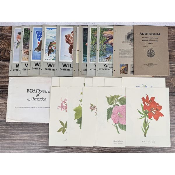 Collection of Stamps and Flower Illustrations