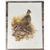 Image 2 : Fenwick Lansdowne Ruffed Grouse Print