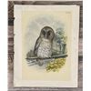 Image 1 : Jacob Henry Studer Barred Owl Lithograph