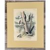 Image 1 : Jacob H. Studer Ornithology Lithograph