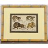 Image 1 : Oliver Goldsmith Hand Colored Big Cats Lithograph