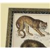 Image 2 : Oliver Goldsmith Hand Colored Big Cats Lithograph