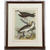 Image 1 : 1878 Theodore Jasper The Fish Hawk Lithograph