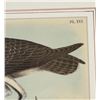 Image 2 : 1878 Theodore Jasper The Fish Hawk Lithograph