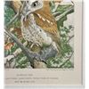 Image 2 : Louis Agassiz Fuertes Screech Owl Lithograph