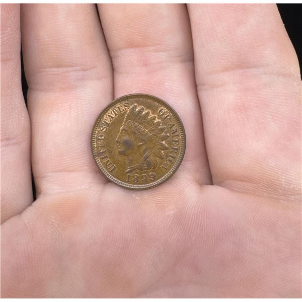 1899 P Indian Head Cent Penny