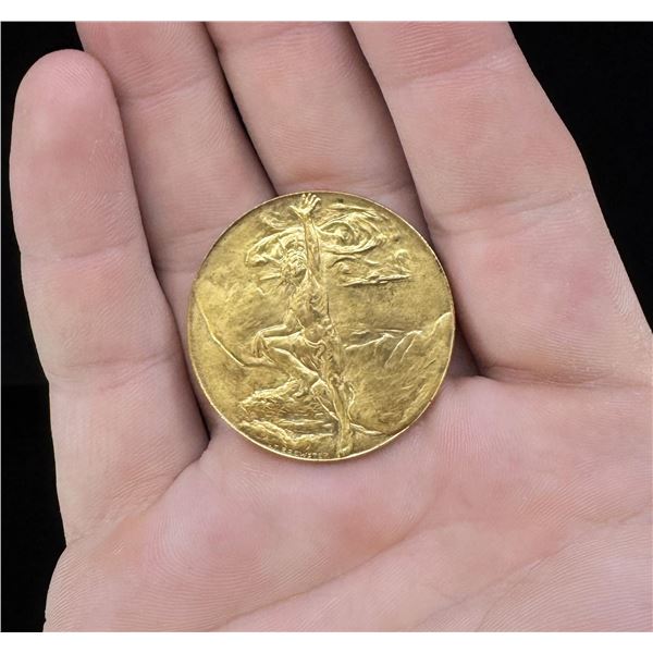 1901 Buffalo New York Pan American Expo Medal