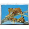 Image 1 : Schultz Leopard & Cubs Oil Painting