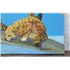 Image 2 : Schultz Leopard & Cubs Oil Painting
