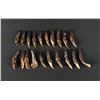 Image 2 : Lot of 20 Fossilized Buffalo Teeth