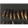 Image 3 : Lot of 20 Fossilized Buffalo Teeth