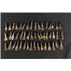 Image 2 : Lot of 50 Fossilized Buffalo Teeth