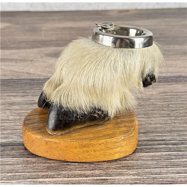 Montana Mountain Goat Hoof Ashtray