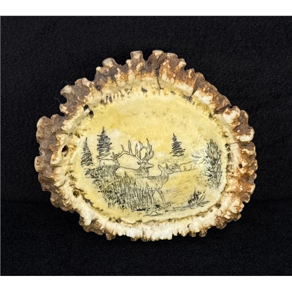Montana Scrimshaw Elk Antler Burr