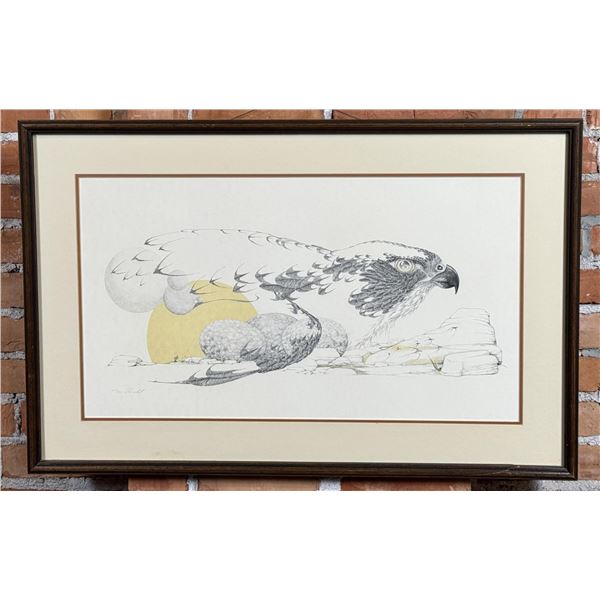 Peter Parnall Peregrine Falcon Print
