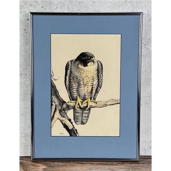 Ron Jenkins Falcon Watercolor Painting