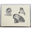 Image 1 : Robert Katona Falcon Print