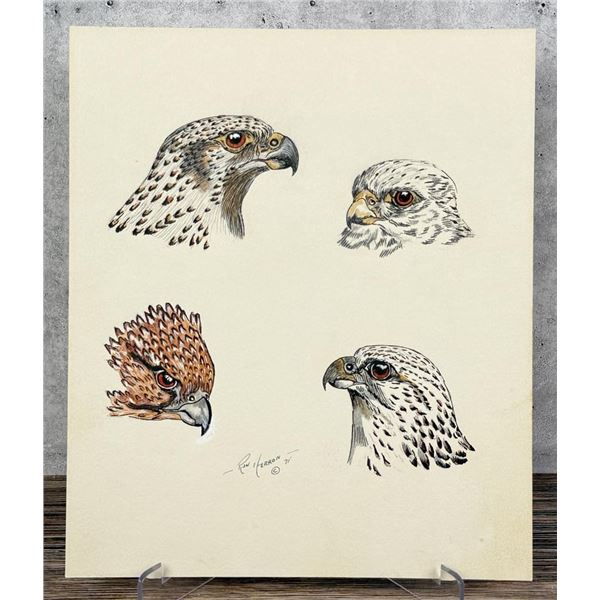 Ron Herron Montana Falcon Gouache Painting