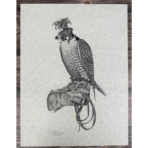 Hooded Falcon Print