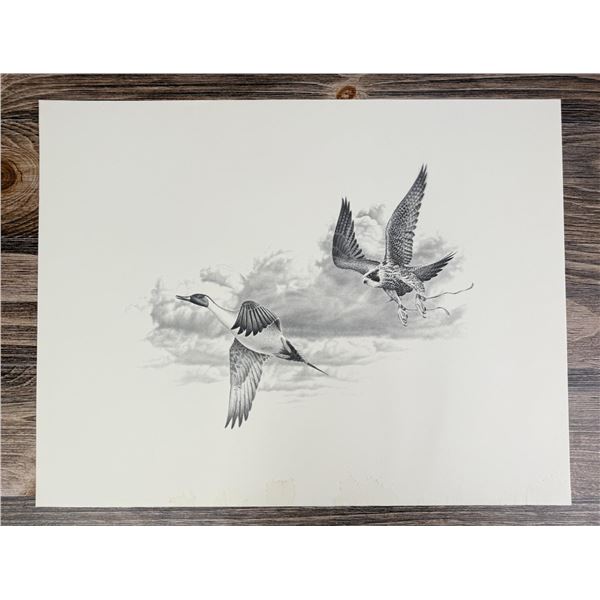 Falcon Chasing Duck Print