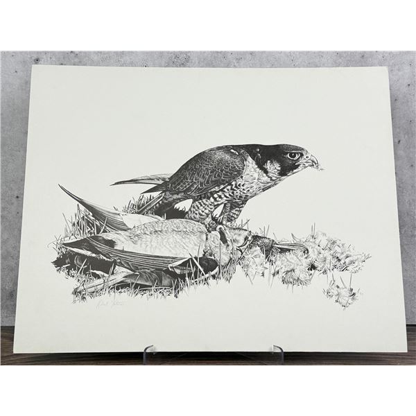 Robert Katona Falcon Print
