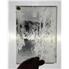 Image 17 : California Victorian Glass Photo Negatives