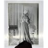 Image 23 : California Victorian Glass Photo Negatives