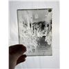 Image 6 : California Victorian Glass Photo Negatives