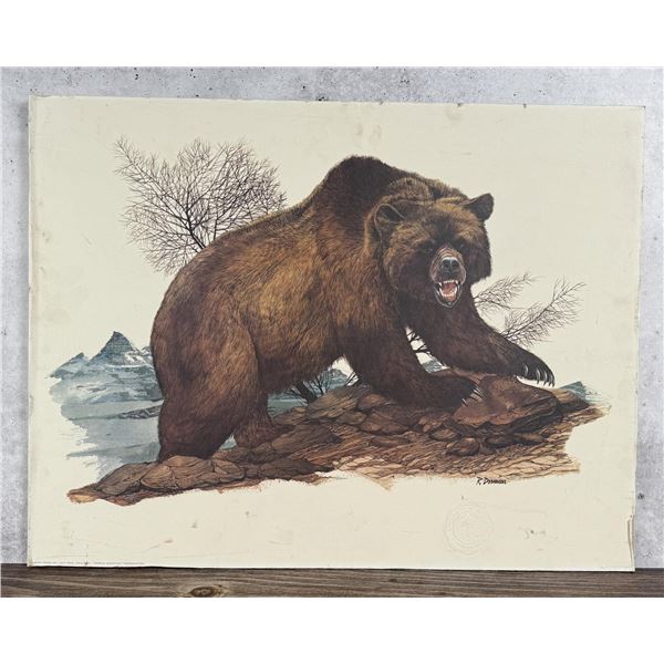 Dorman Grizzly Bear Print University of Montana
