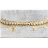 Image 8 : Taxidermy Bull Shark Jaws