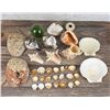 Image 6 : Collection of Seashells