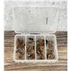 Image 1 : Collection of Montana Trout Fishing Flies