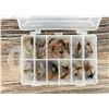 Image 2 : Collection of Montana Trout Fishing Flies
