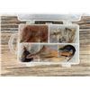 Image 4 : Collection of Montana Trout Fishing Flies